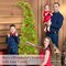 6FT Grinchs Christmas Tree with Flexible Branches (Green-01) 17.3"D x 17.3"W x 71.6"H